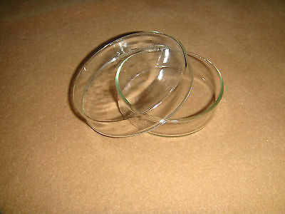 60mm Glass Tissue Petri Dish, Culture Dish, Culture Plate With Cover