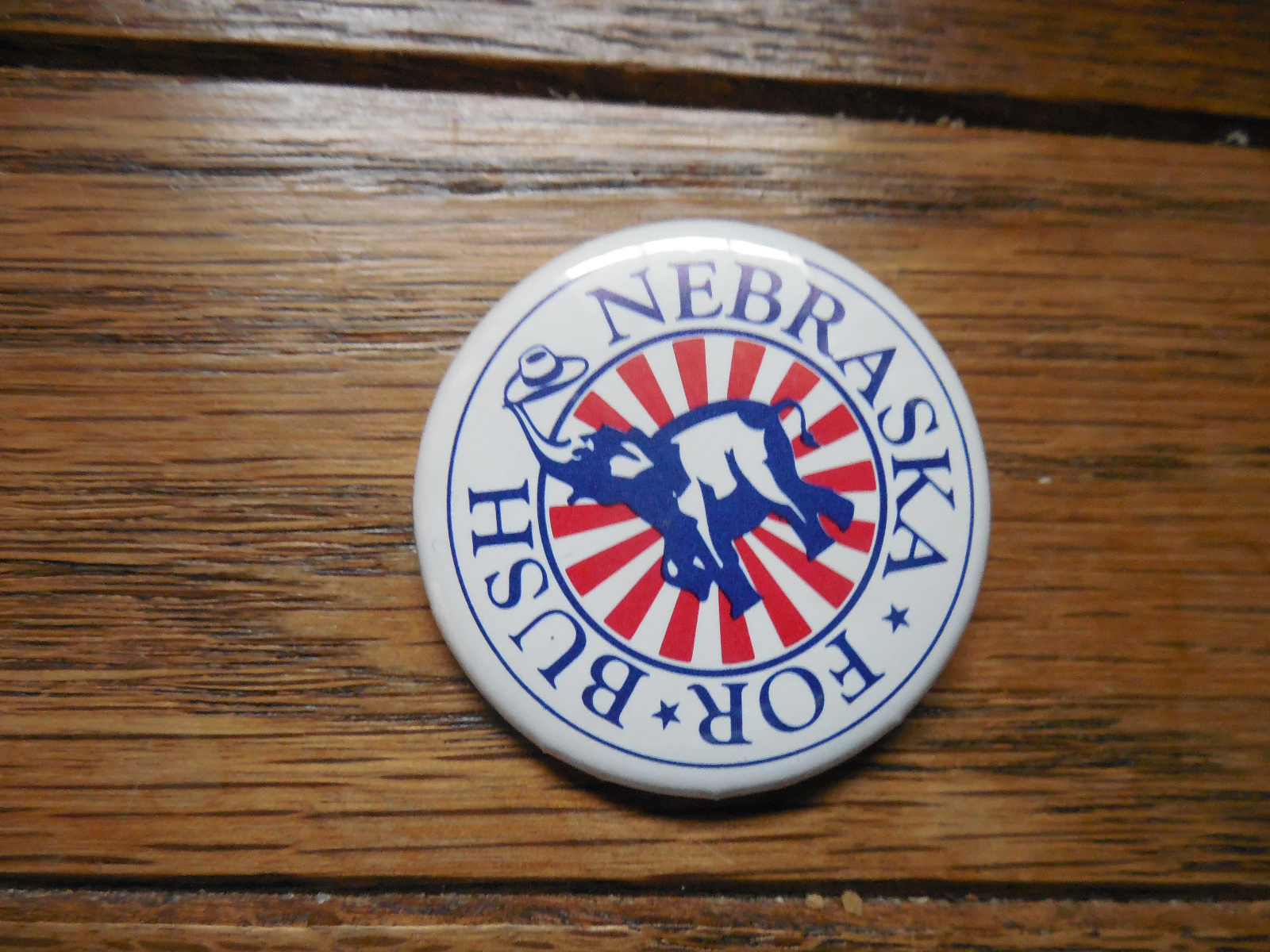 Presidential Nebraska Pin Back George Bush President Campaign Political Button